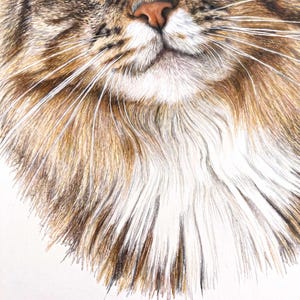 A close-up pastel portrait of a long-haired tabby cat, filling the frame from whiskers to ears, with fine fur texture around the ruff and one bright green eye in sharp focus.