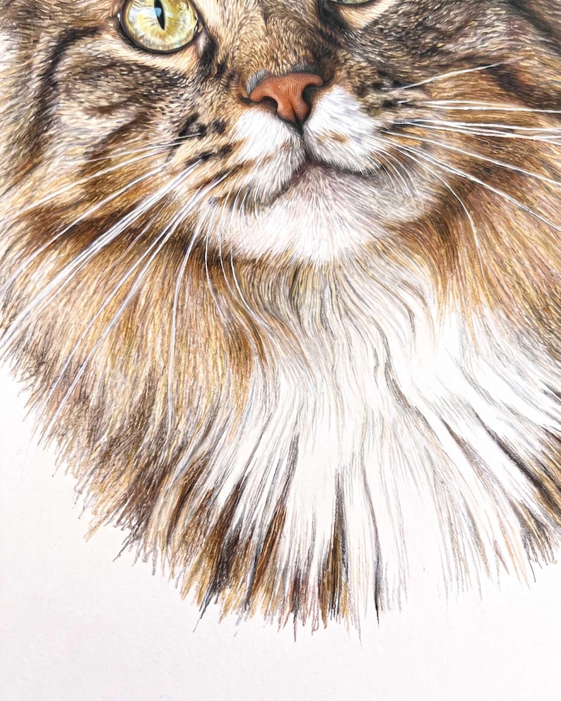 A close-up pastel portrait of a long-haired tabby cat, filling the frame from whiskers to ears, with fine fur texture around the ruff and one bright green eye in sharp focus.