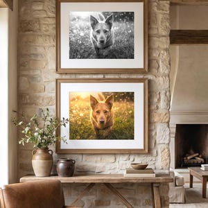 Two black and white dog portraits in thin wood frames hung one above the other on a pale stone wall, above a dark wood console with dried stems in a vase and a low armchair in the foreground.