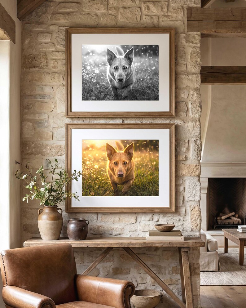 Two black and white dog portraits in thin wood frames hung one above the other on a pale stone wall, above a dark wood console with dried stems in a vase and a low armchair in the foreground.