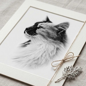 May include: A black and white photographic print of a long-haired cat in profile, looking upward. The print is mounted on a white mat board, secured with a thin brown twine tied in a bow, and accompanied by a small, dried silver-toned leaf.