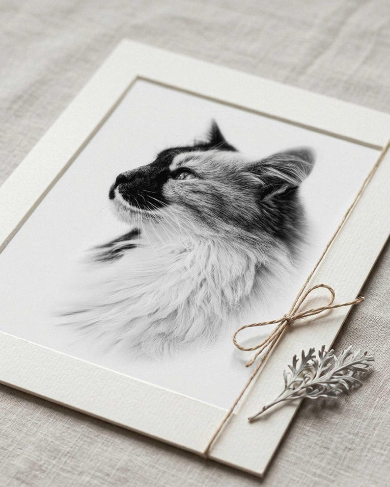 May include: A black and white photographic print of a long-haired cat in profile, looking upward. The print is mounted on a white mat board, secured with a thin brown twine tied in a bow, and accompanied by a small, dried silver-toned leaf.