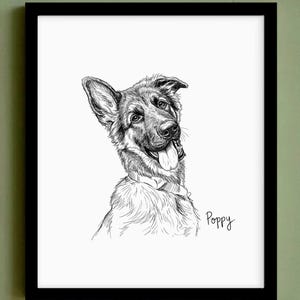 Custom Pet Portrait Sketch From Photo, Fine Art Ink Drawing, Pet Lover Gift