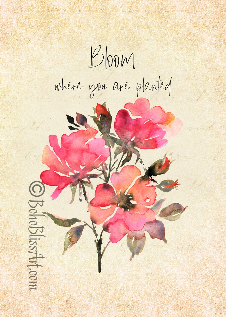 Bloom Where You Are Planted Inspirational Quote Art