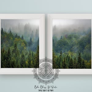 May include: Two framed prints of a misty forest scene with lush green trees. The prints are in white frames and are hung on a light blue wall.