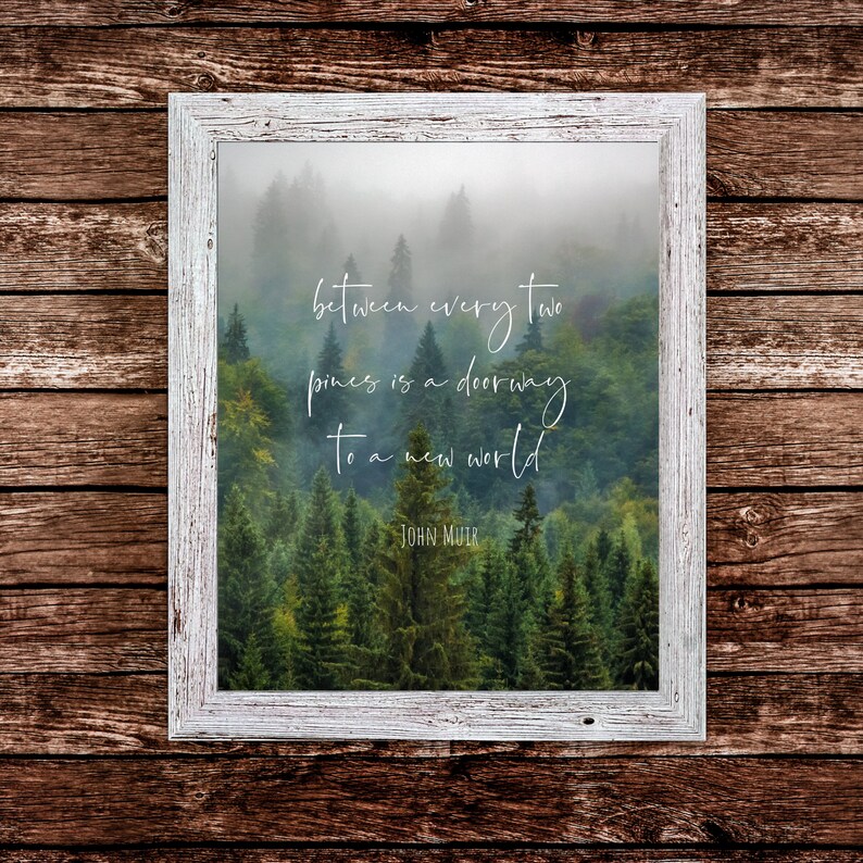 John Muir Quote: Between every two pines there is a doorway to | Etsy