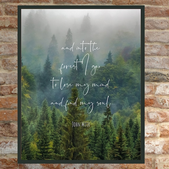 John Muir Quote And Into The Forest I Go To Lose My Mind Etsy