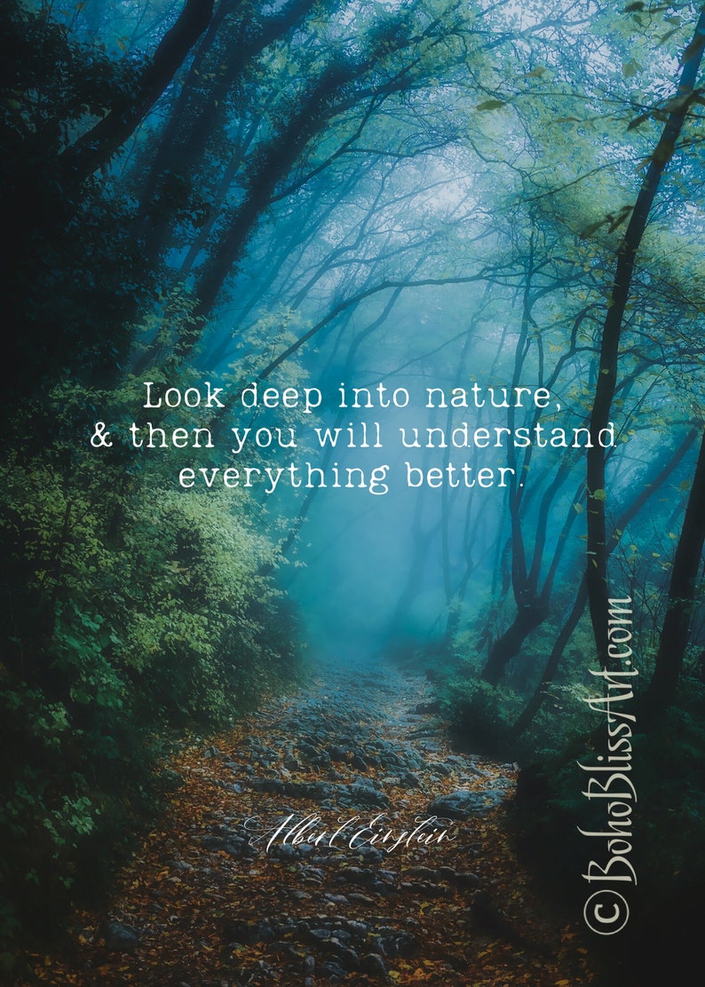 look deeper look deeper