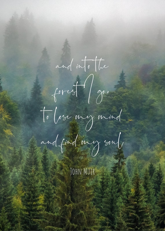 John Muir Quote And Into The Forest I Go To Lose My Mind Etsy John Muir Quote And Into The Forest I Go To Lose My Mind Etsy