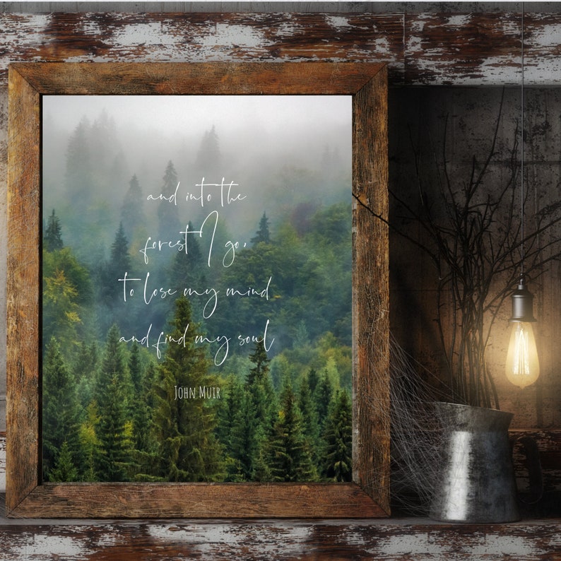 John Muir Quote And into the forest I go to lose my mind &amp; Etsy