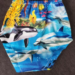 Preemie short / bloomers loomer Swim trunks