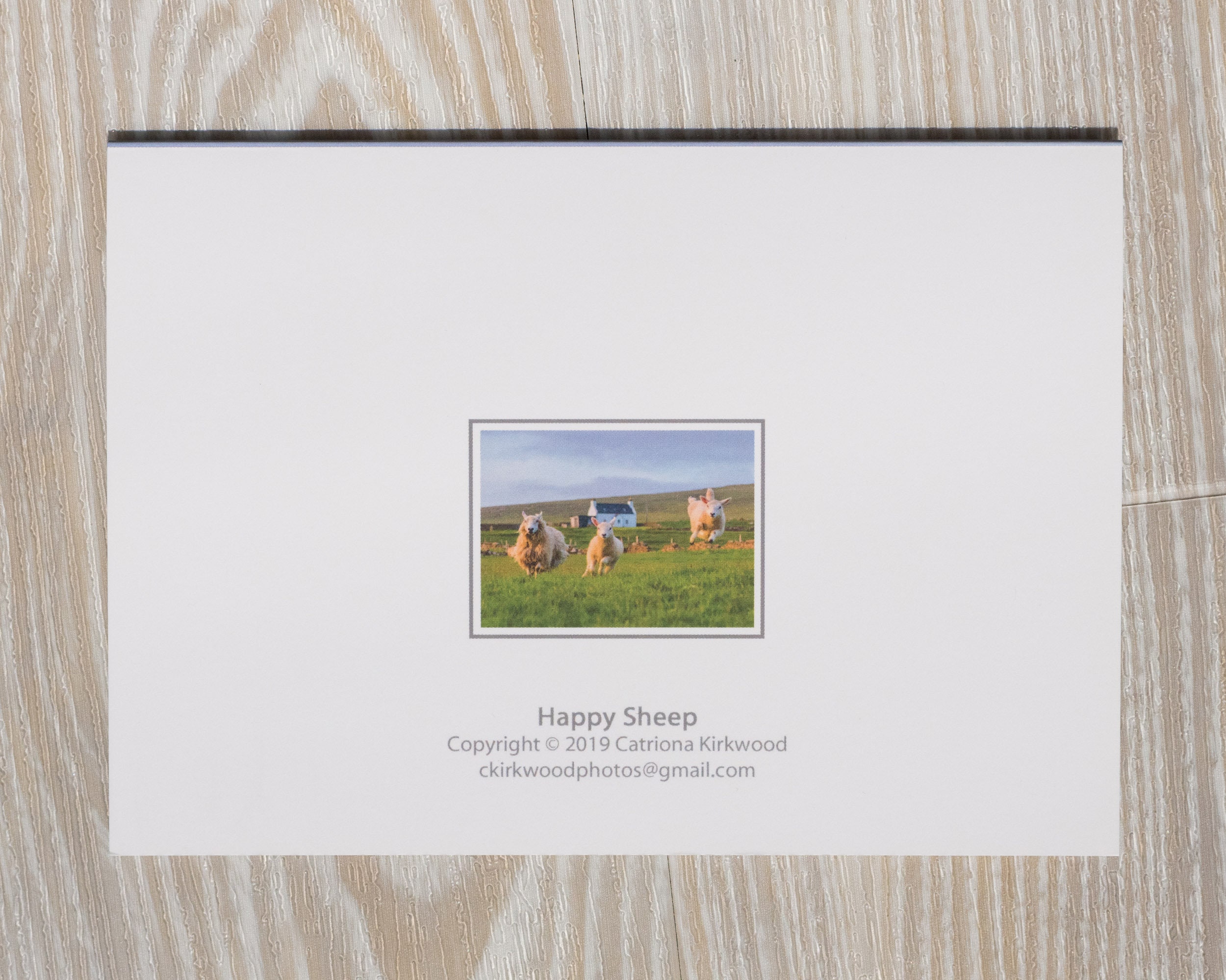 COUNTRY CARDS HUMOUR ROUNDING UP THE SHEEP (BIRTHDAY) (11510509) | Jacksons CRS - View #3