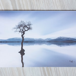 Loch Lomond Tree Card | Blank Greeting Card | All Occasions | Scotland Photo | Scottish Scenery | Scotland Photography | Scottish Photo Card