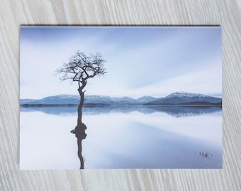 Loch Lomond Tree Card | Blank Greeting Card | All Occasions | Scotland Photo | Scottish Scenery | Scotland Photography | Scottish Photo Card