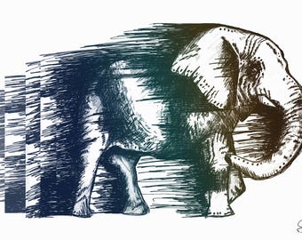 Elephantception PRINT, Matte