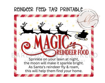 PDF PRINTABLE- Magic Reindeer Food Tag, Christmas Eve Reindeer Food Printable