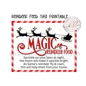 PDF PRINTABLE- Magic Reindeer Food Tag, Christmas Eve Reindeer Food Printable