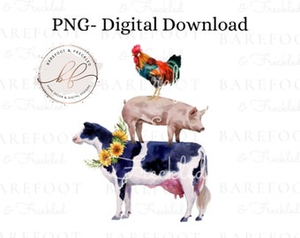 May include: Watercolor illustration of a rooster standing on a pig, which is standing on a black and white cow. The animals are all facing forward and the rooster is looking to the right. The background is white.