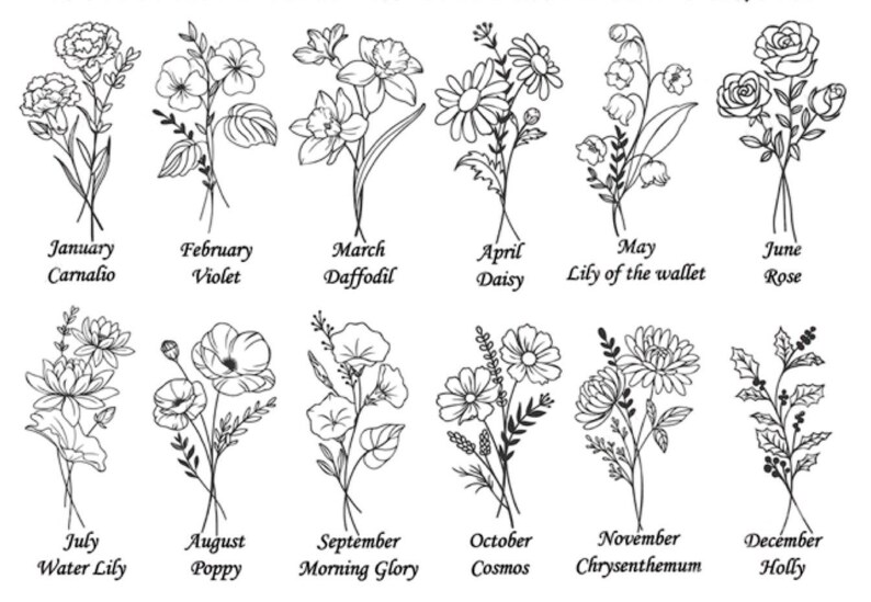 Peut inclure: Une illustration en noir et blanc de 12 fleurs diff&eacute;rentes, chacune repr&eacute;sentant un mois de l'ann&eacute;e. Les fleurs sont &eacute;tiquet&eacute;es avec leurs noms communs et le mois qu'elles repr&eacute;sentent. Janvier : &OElig;illet, F&eacute;vrier : Violette, Mars : Jonquille, Avril : Marguerite, Mai : Muguet, Juin : Rose, Juillet : Lys d'eau, Ao&ucirc;t : Pavot, Septembre : Liseron, Octobre : Cosmos, Novembre : Chrysanth&egrave;me, D&eacute;cembre : Houx.
