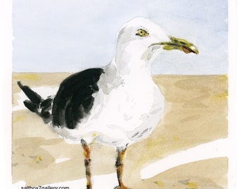 Seagull - Maine Art Prints/Giclée Print/Coastal Birds/Watercolor Birds/Bird Prints/Maine Artist/Kathleen Brown Paintings/Saltbox7Gallery