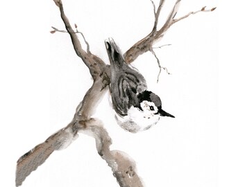 Little Nuthatch - Maine Art Print/Giclée Print/Watercolor/Bird Paintings/Bird Prints/Maine Artist/Kathleen Brown Paintings/Saltbox7Gallery