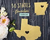 793 Files 50 State Shapes Cut File Bundle for Cricut 50 United States SVG Bundle for Silhouette 50 States SVG Bundle Flourishes Commercial