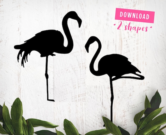 Download Free Flamingo Svg Bundle Flamingo Clipart Summer Svg Flamingo Etsy SVG Cut Files