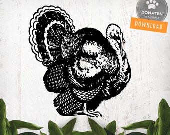 Vintage Turkey SVG | Turkey Clipart | Vintage Woodcut Turkey Illustration | Thanksgiving Svg Thanksgiving Clip Art Png Dxf Cricut Silhouette