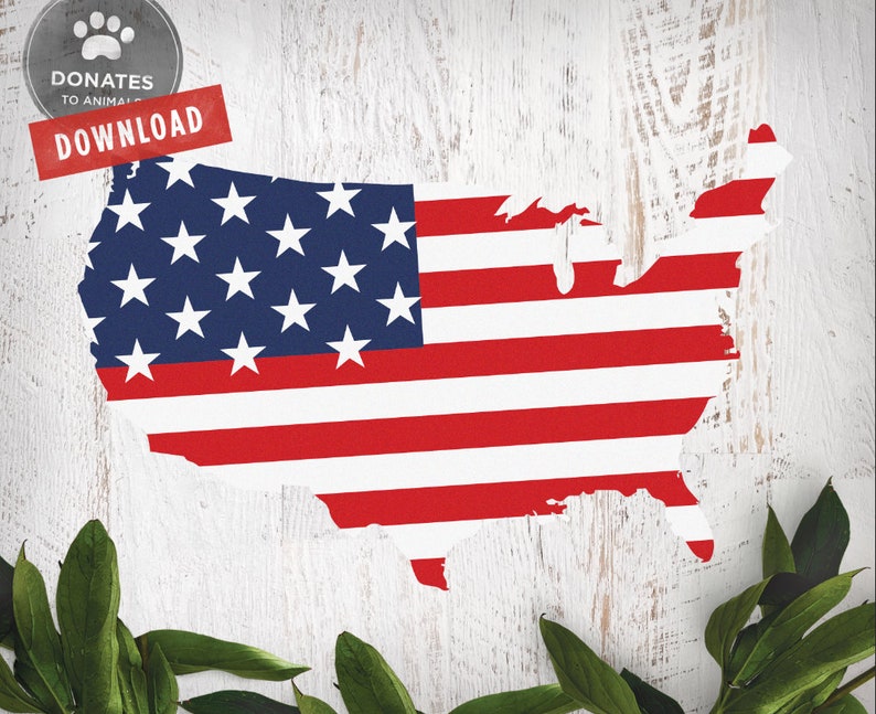 Merica SVG 4th of July SVG United States Flag SVG Funny 4th of July Cut File for Cricut American Flag Svg Cuttable Download Dxf Jpg image 2