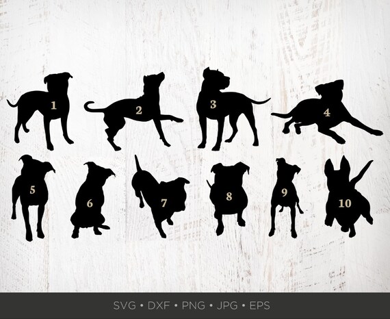 Download 10 Pitbull Svg Bundle Pit Bull Silhouette Pitbull Clip Art Etsy