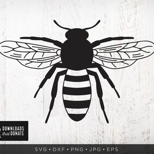 Könnte beinhalten: Schwarz-weiße Silhouette einer Biene mit gestreiftem Hinterleib und detaillierten Flügeln.