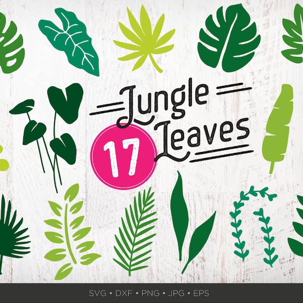 17 Jungle Leaves SVG Bundle | Jungle SVG Bundle laisse des formes cliparts | Jungle Clip Art laisse des fichiers coupés pour Cricut | Dxf Silhouette de feuillage