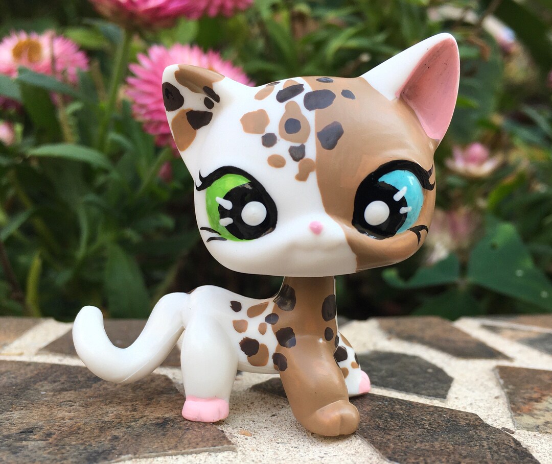 Littlest Pet Shop Cute, Short Hair, KITTY Cat Ooak Custom, Nice - Etsy ...