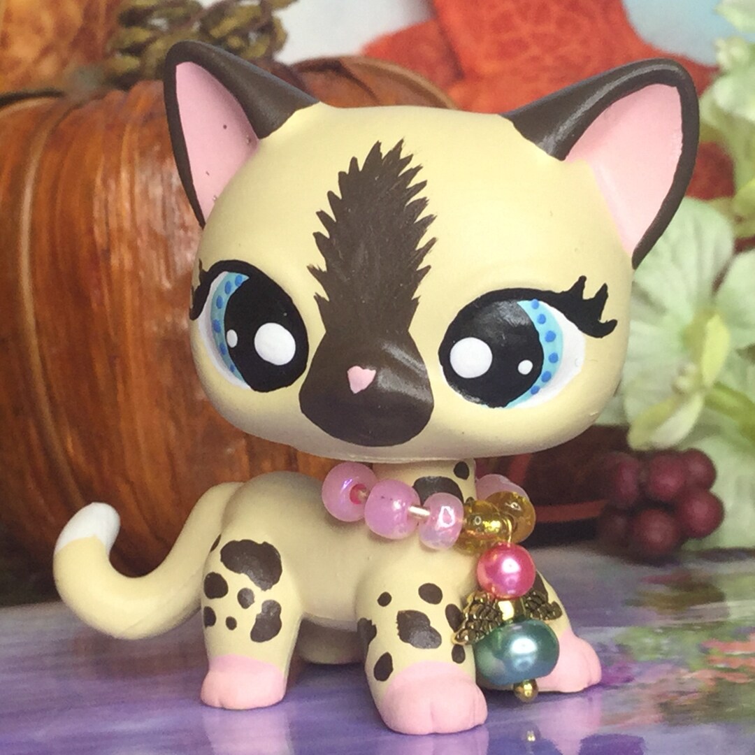 Littlest Pet Shop Cute Short Hair KITTY Cat Ooak Custom Etsy