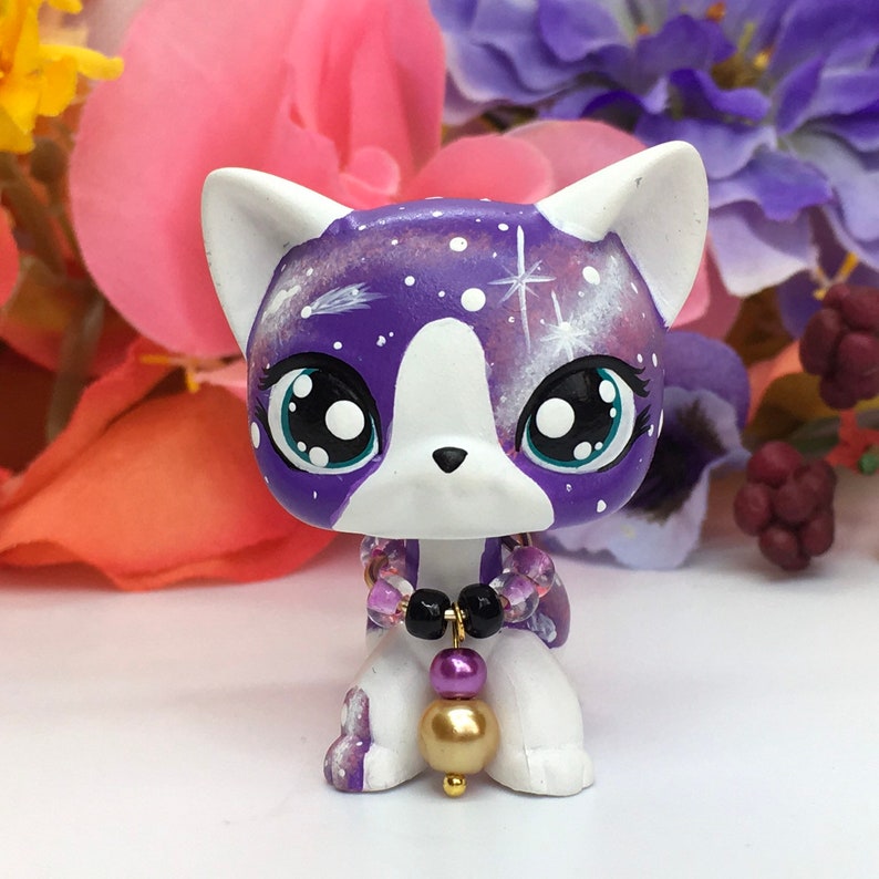 Littlest Pet Shop Cute Galaxy Short Hair KITTY Cat Ooak | Etsy