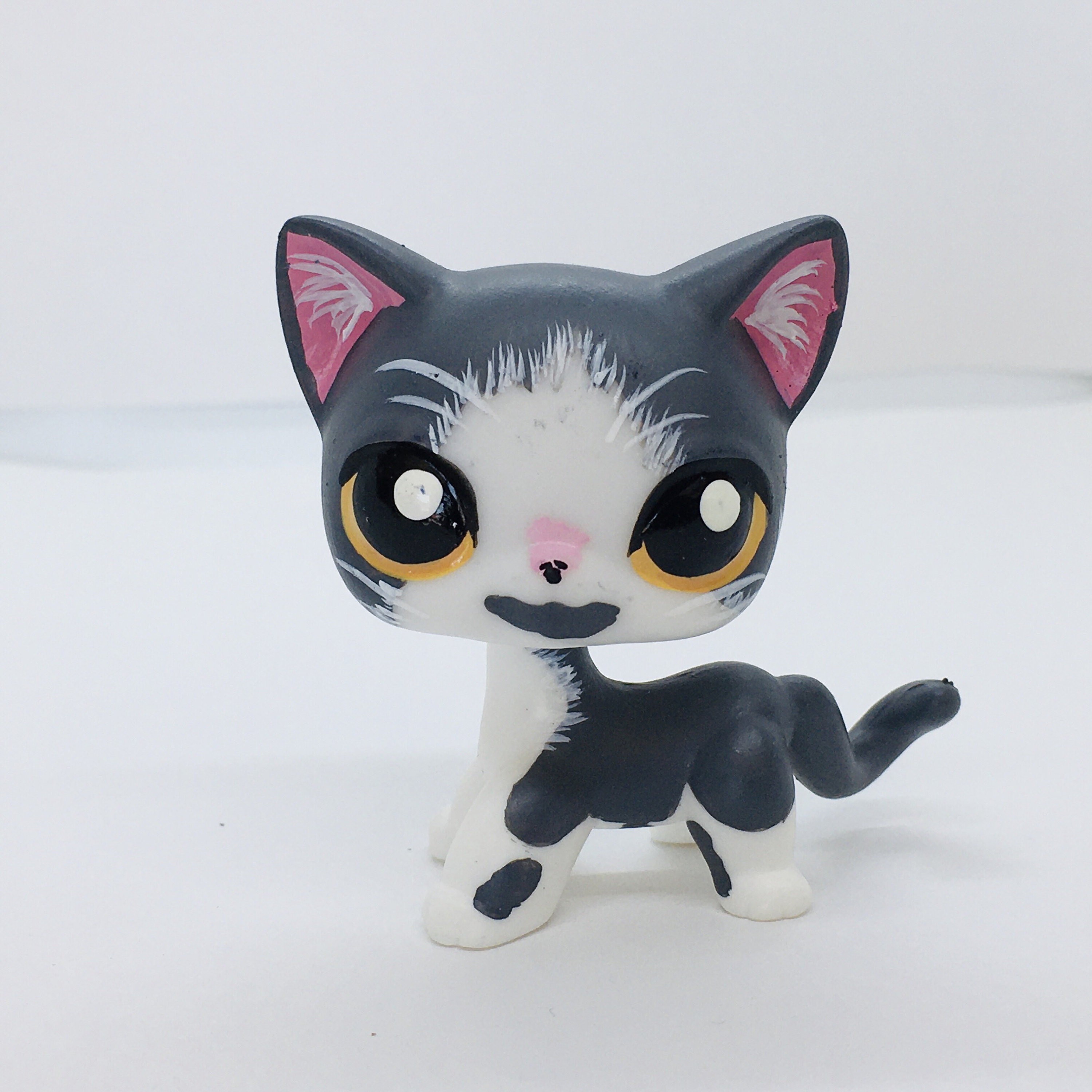 Retired Collection of Unusual Littlest Pet Shop LPS Mixed Pets with  Interchangeable Heads and Snap on Accessories