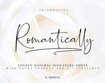 Font Fonts Digital font signature Font Script Font Digital download swash font Handwritten font calligraphy font wedding font Cricut font