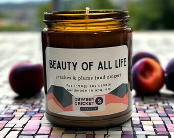 Beauty of All Life Soy Candles and Melts - Peaches, Plums, & Ginger - Magicians Inspired