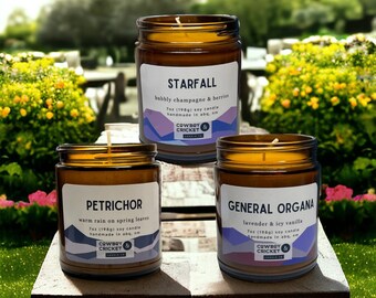 Spring Scents Candle Bundle/Gift Set (Three 7oz Jars)