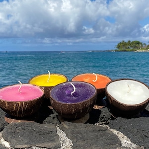Coconut Shell Candle 100% Natural Organic Coconut Candles Island Gift. Made in Hawaii