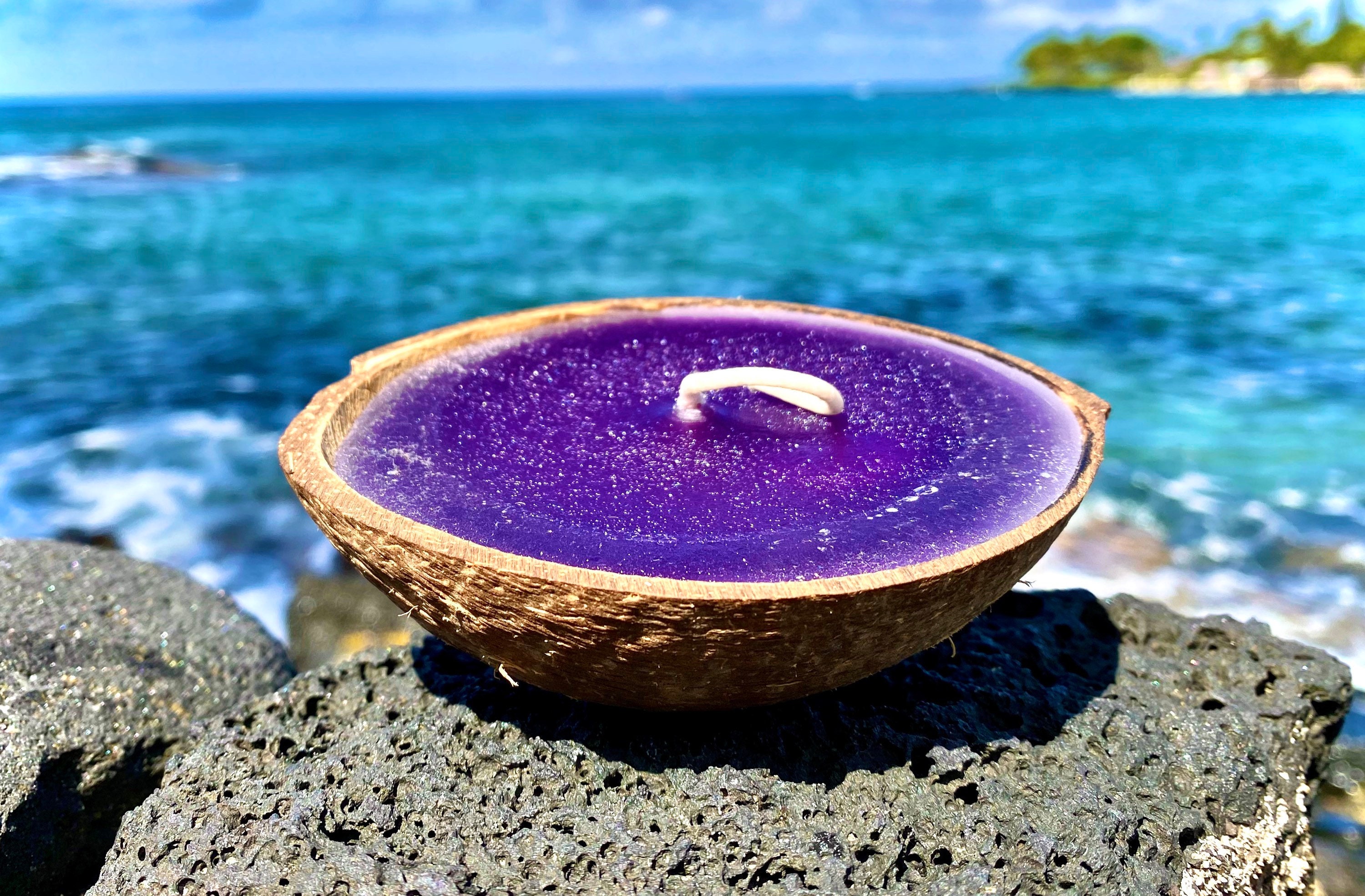 Coconut Shell Floater Candle 100 Natural Organic Coconut Etsy