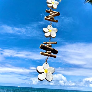Plumeriabloem bedel. Tropisch eiland huis tuin decor. Klassieke witte plumeria op drijfhout en steen. Muurhanger cadeau van Aloha..