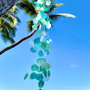 May include: A blue and green shell wind chime hanging from a palm tree branch against a bright blue sky. The wind chime is made of many round, flat shells that are strung together on strings.