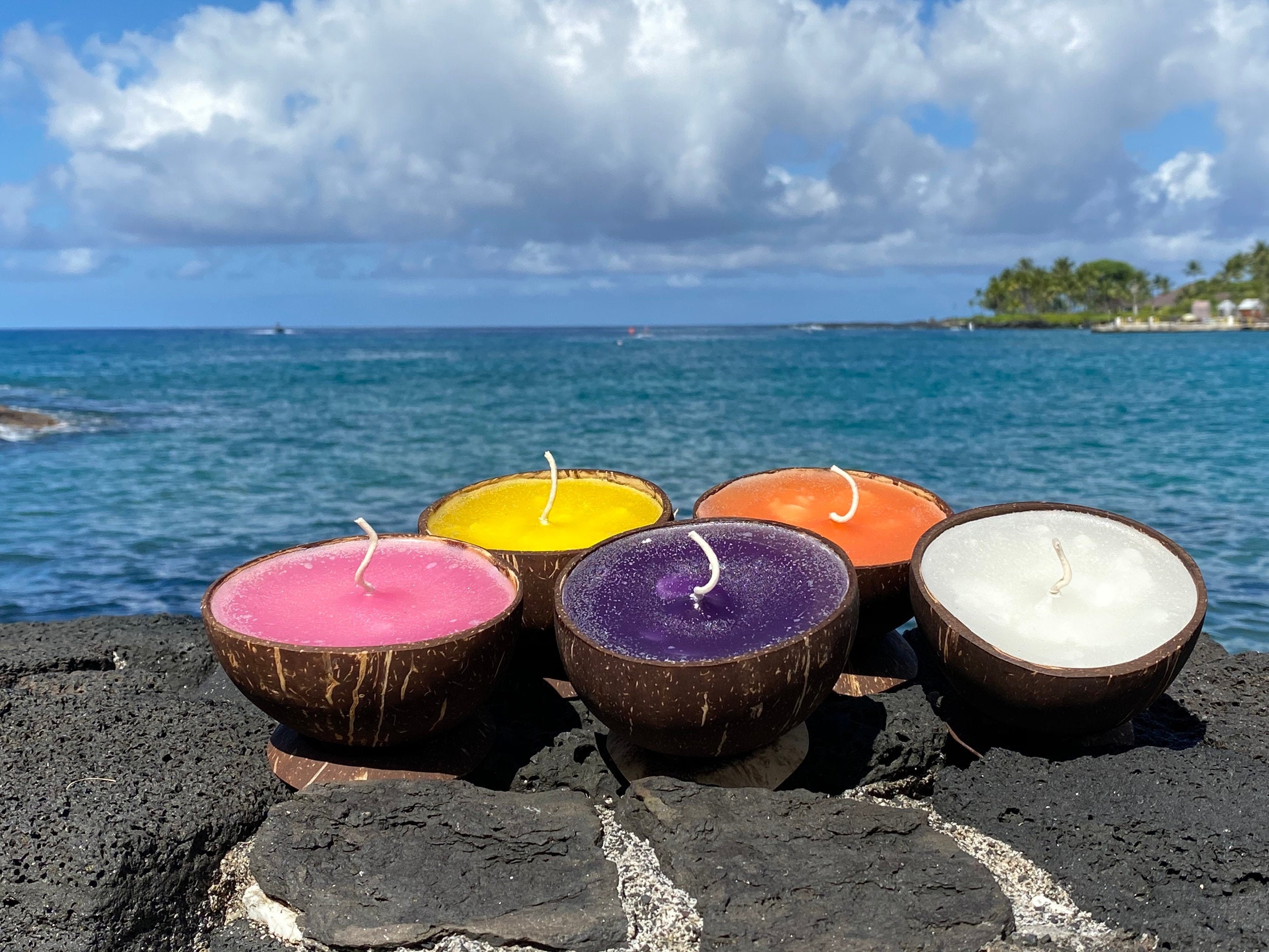 Coconut Shell Candle 100 Natural Organic Coconut Candles Island Gift