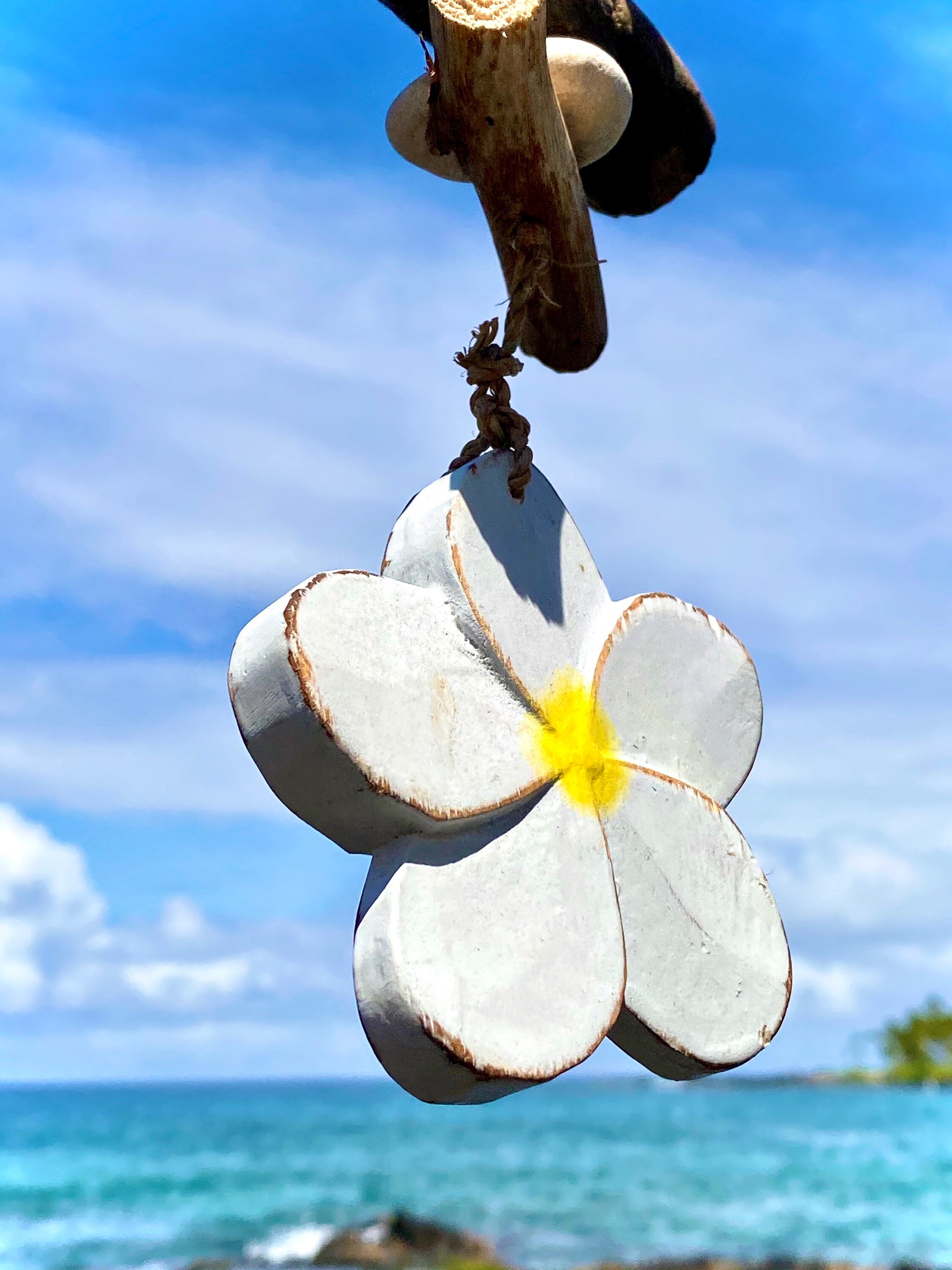 Plumeria Flower Charm. Tropical Island Home Garden Decor. Classic White