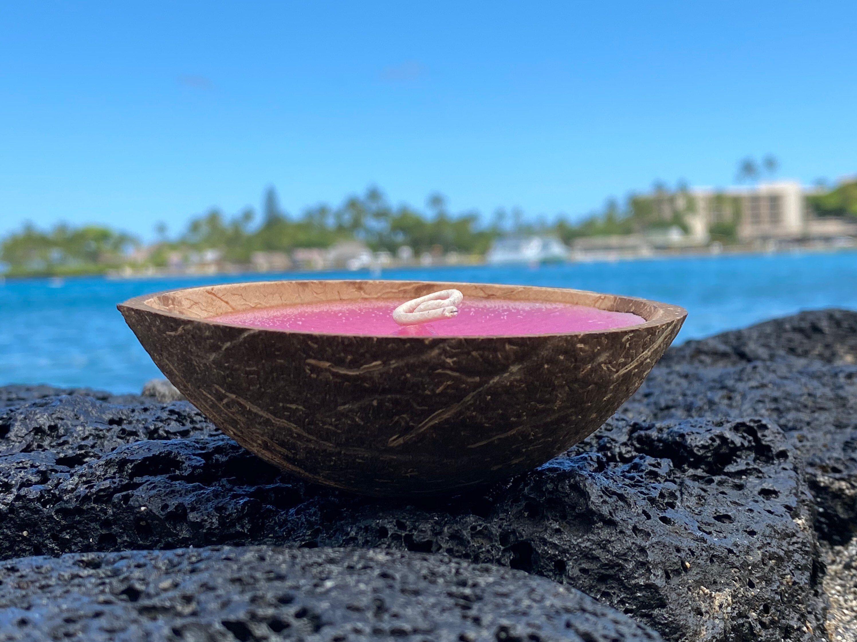 Coconut Shell Floater Candle 100 Natural Organic Coconut Candles