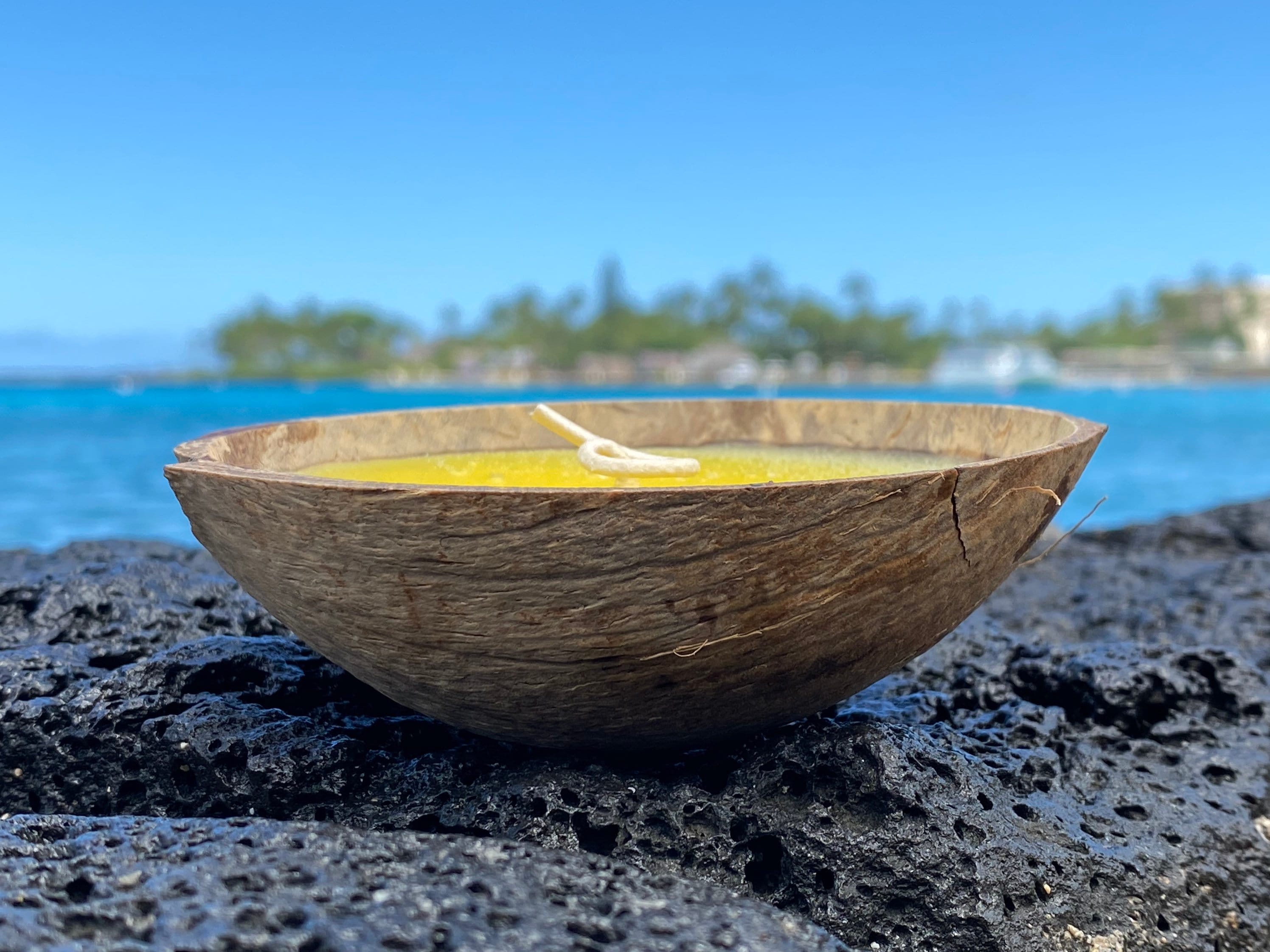 Coconut Shell Floater Candle 100 Natural Organic Coconut Candles