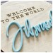 Welcome to the World Plaque / Baby Plaque/welcome to the World Disc ...