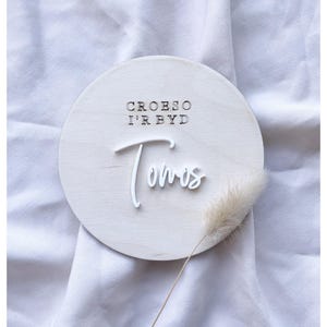 Croeso ir byd/ Welsh baby plaque / Babi cymraeg/ Babi newydd/ new baby plaque / hello world / baby shower gift / baby announce / new arrival