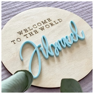 Welcome to the World Plaque / Baby Plaque/welcome to the World Disc ...